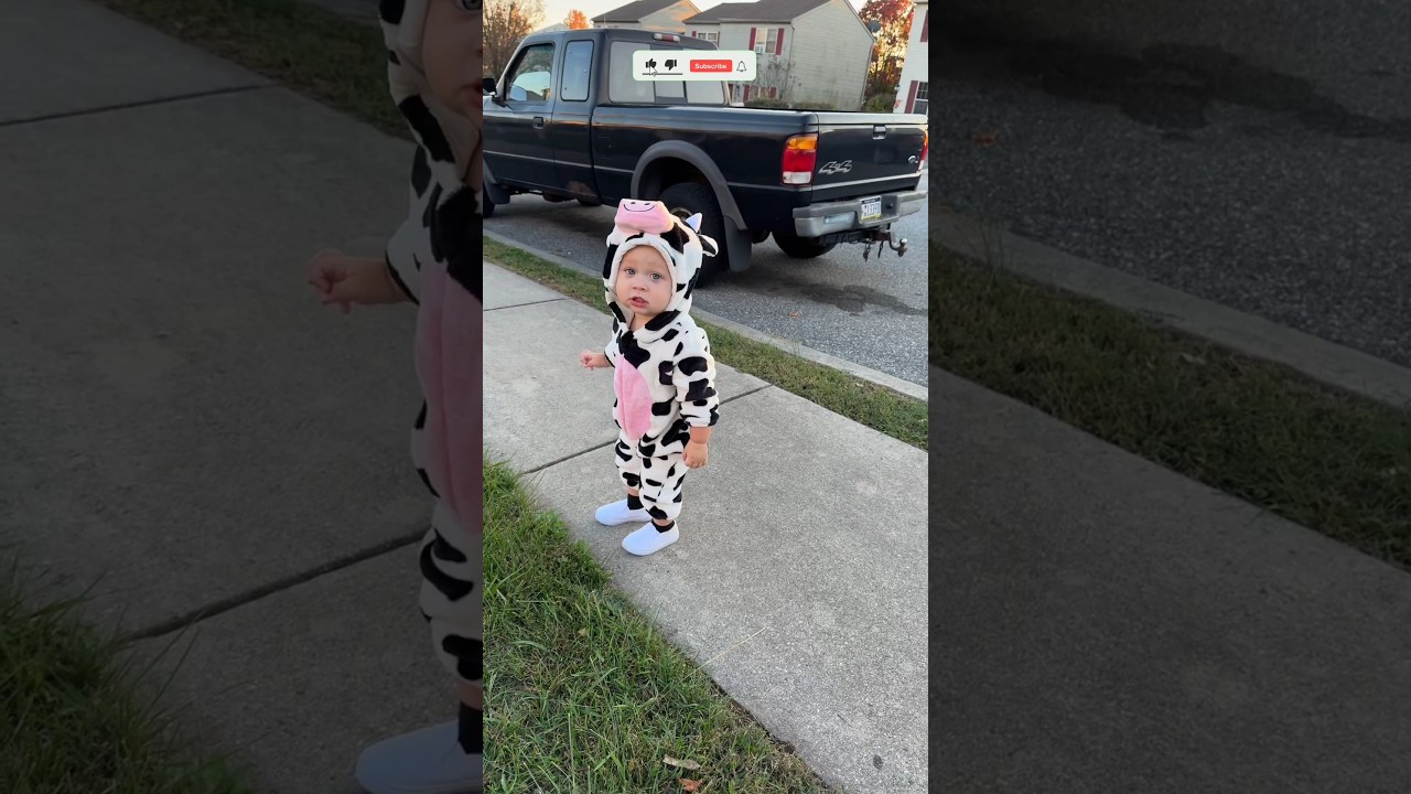 cutest cow ive ever seen     