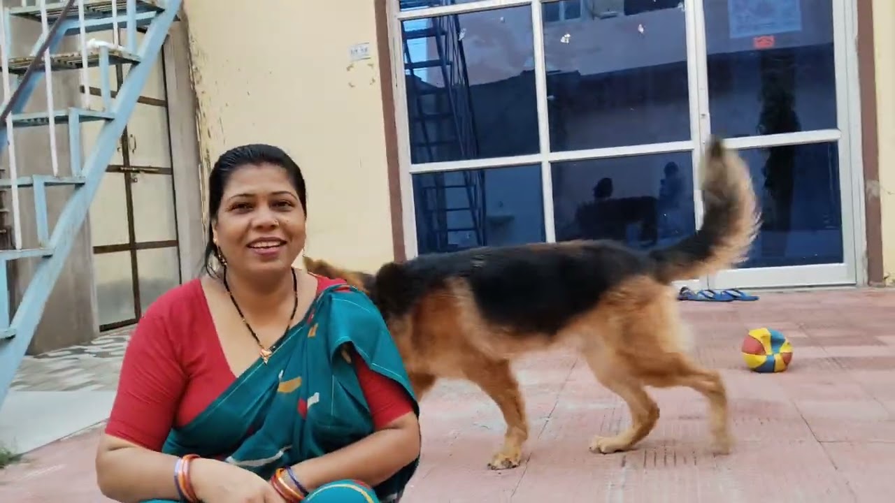 Vlog #trending #germanshepheard #viral #daliyvlog #pets #Max