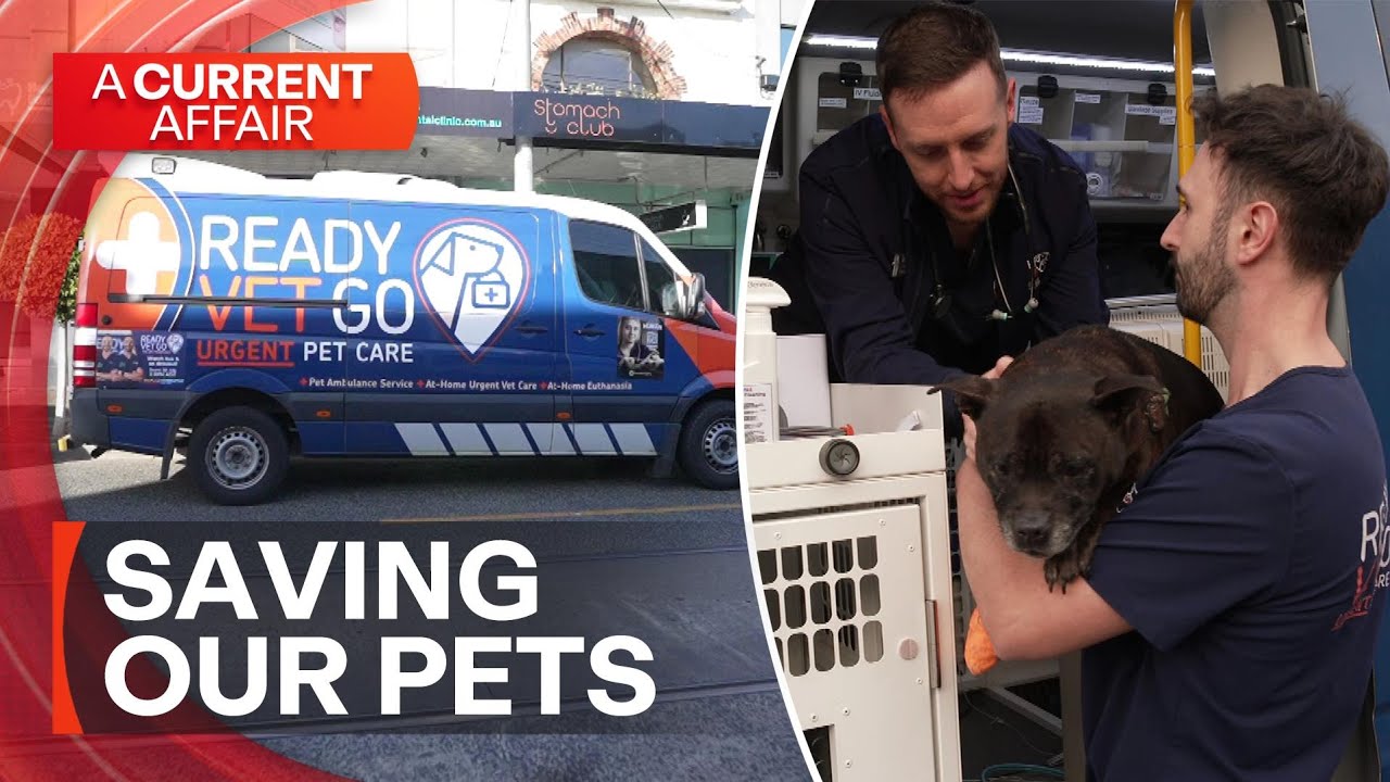 The special ambulance coming to the rescue of our pets | A Current Affair
