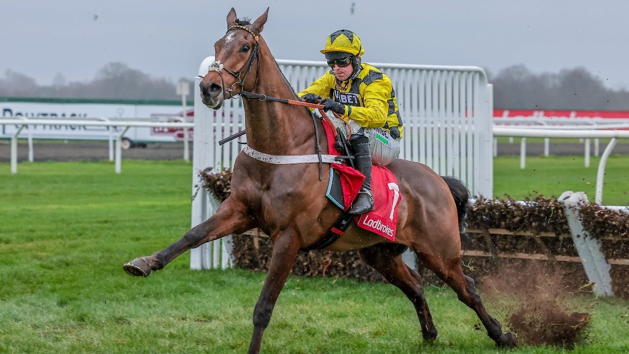 SIR GINO makes winning British debut to earn 8/1 quote for Triumph Hurdle