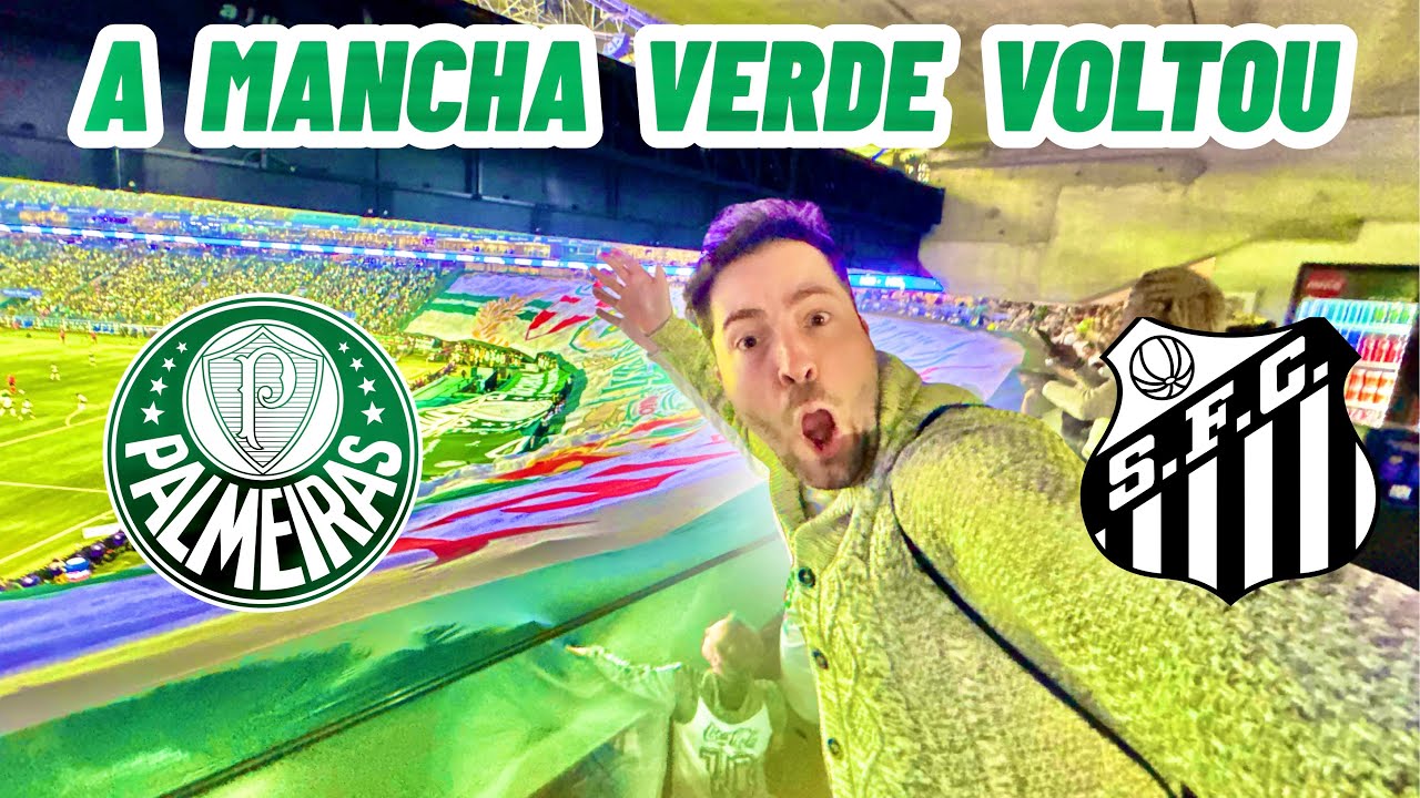 O ALLIANZ PARQUE VIROU UM CALDEIRÃO CONTRA O SANTOS/ Palmeiras 2 x 0 Santos