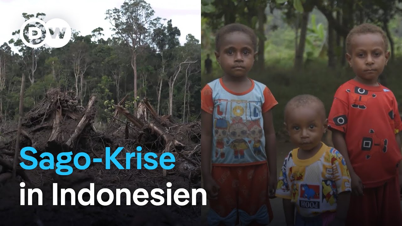 Indonesien: Schrumpfende W&auml;lder, wachsender Hunger | DW Reporter
