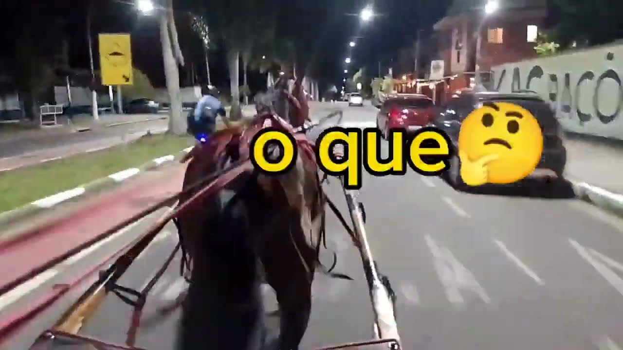 Rolê na Cidade com a ÉGUA ARGENTINA, Curta o Passeio Conosco!