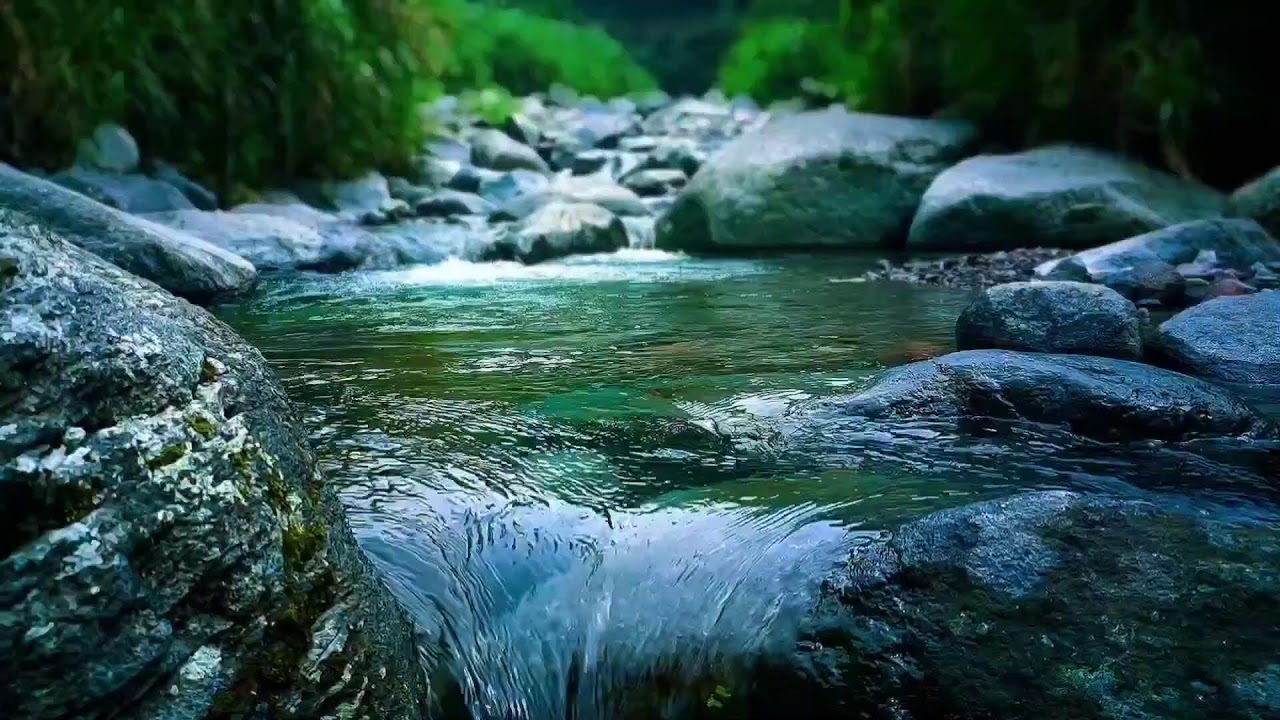 🍃 Soft Flowing River ASMR Sounds for Deep Sleep, Calm Mind & Relaxation