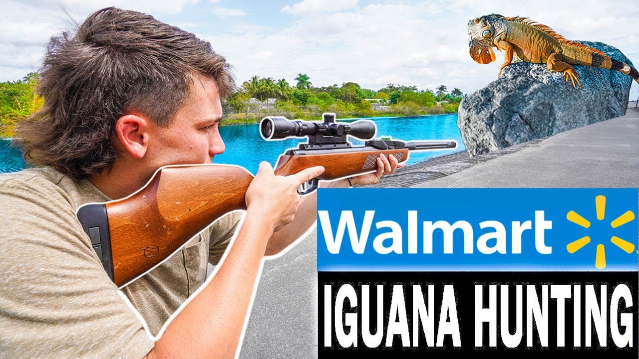EPIC WALMART Budget Iguana Hunting Challenge!!