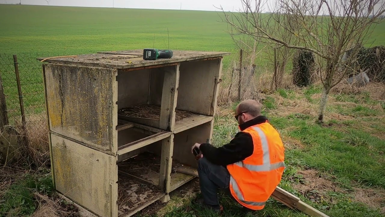 Création d'un poulailler autonome. 🐓