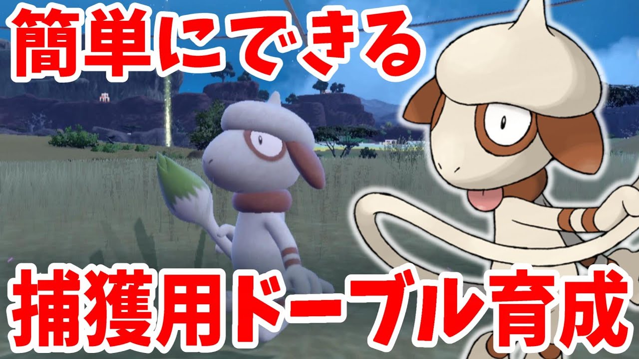 【ポケモンSV】簡単にできる！捕獲用ドーブルの作り方！スケッチの使い方【ポケモンスカーレットバイオレット・ゼロの秘宝】