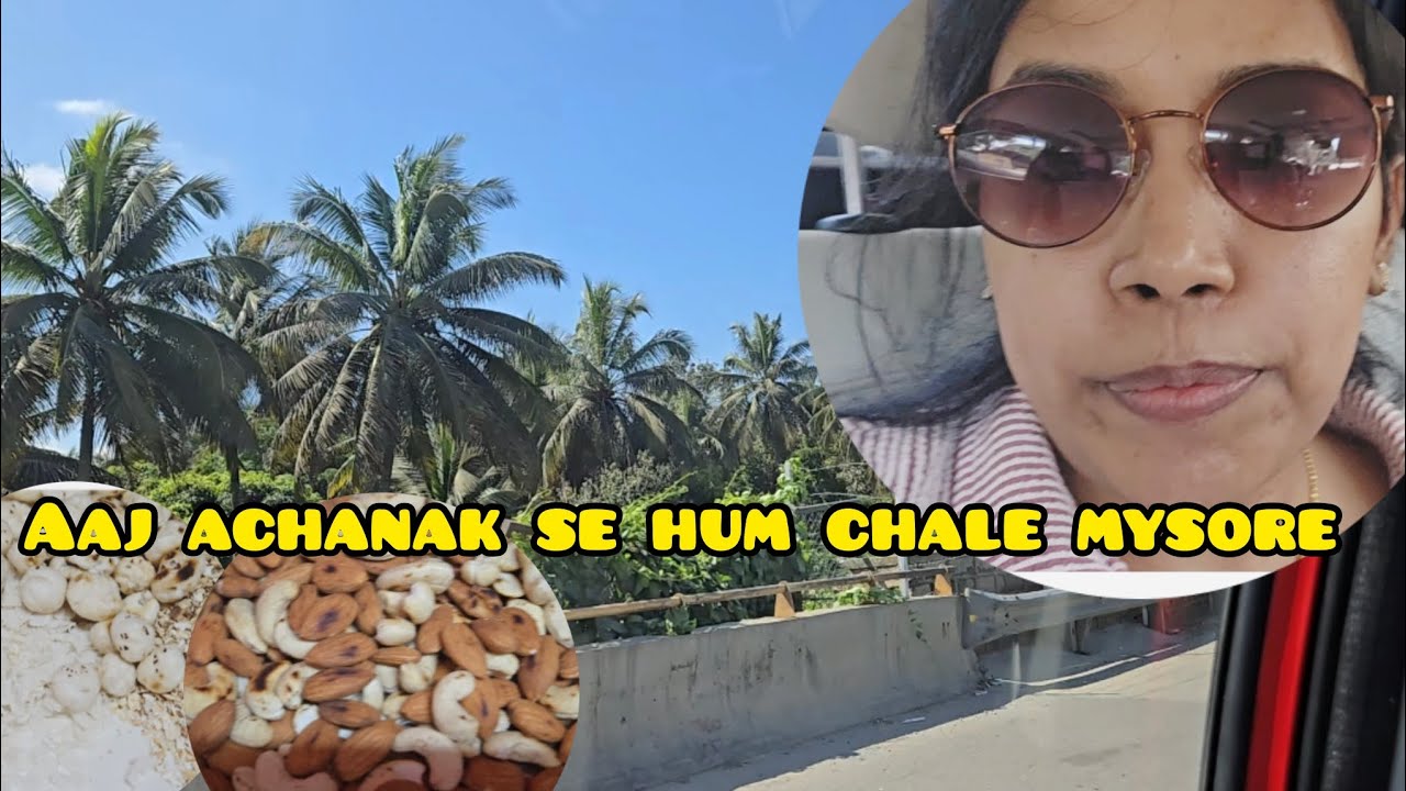 Mysore trip with baby | aaj husband ka mann hua mysore chale 🙂#hindivlogs #vlog #bangalorevlogger 
