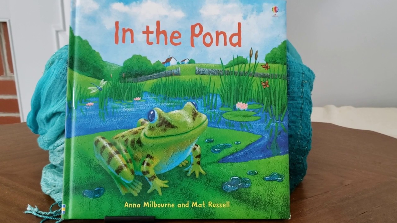 In the Pond by Anna Milbourne and Mat Russell