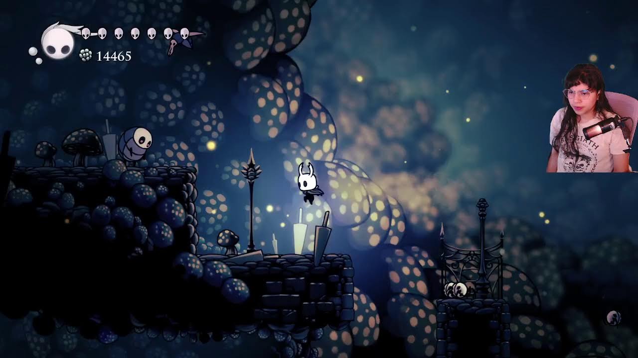 HOLLOW KNIGHT