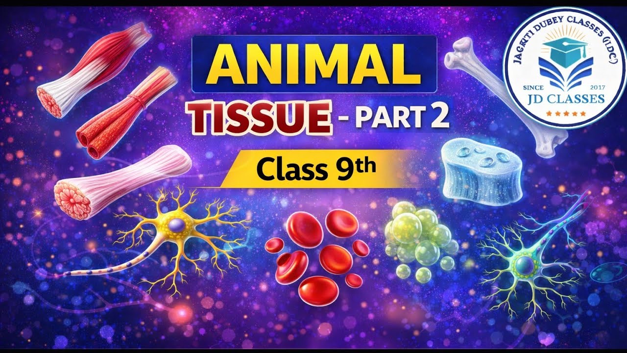 Animal Tissue_Part 2_Class_9th_Tendon_Ligament_Cartilage_Bone