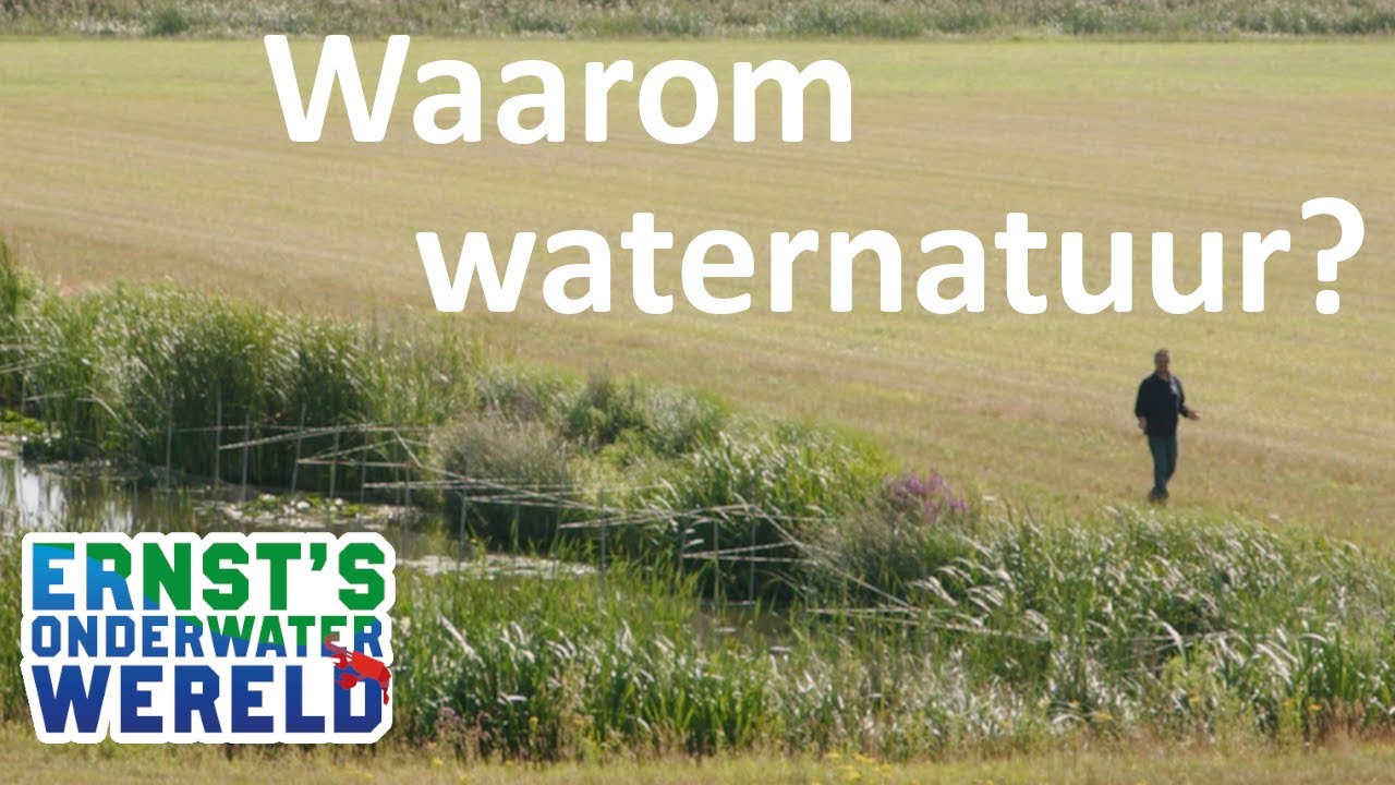 Waarom maken we WATERNATUUR? #38 Ernst's OnderWaterWereld