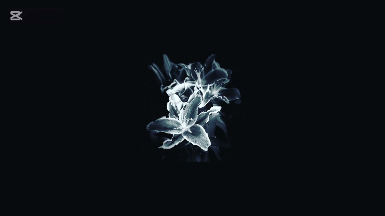⏤͟͟͞͞❀ +50 𝐄dit audios for 𝘆𝗼𝘂!! + timestamps!! - playist || #8 𖹭