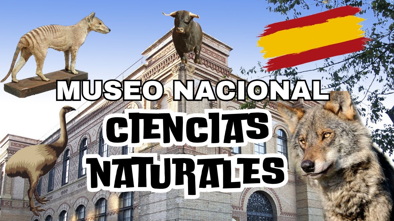 Visita al Museo Nacional de Ciencias Naturales de España | con @Mariodewonder y @Hugoinnatura