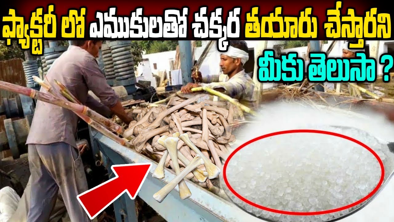 See how these products are made in factory | sugar making | coconut oil making | factory made