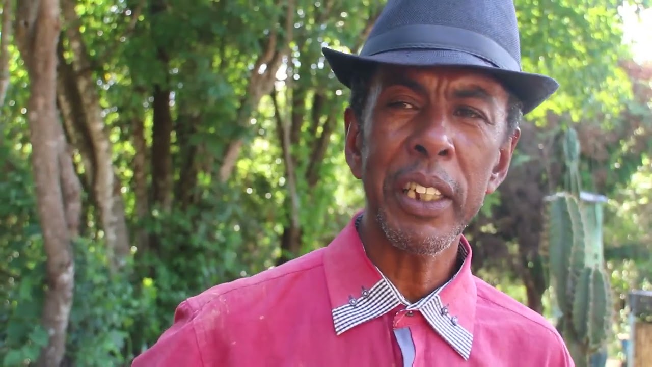 AS PLANTAS DO CELSO - CASSIA MG - PARCERIA DE CANAIS