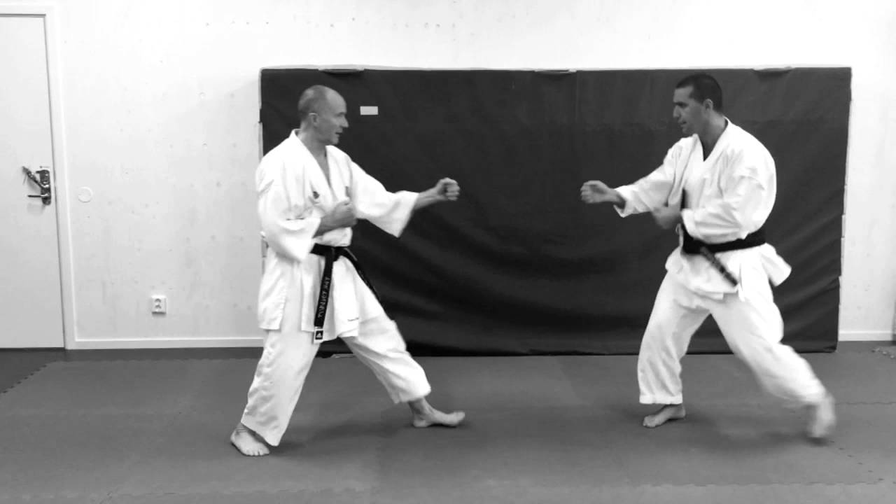 Practicing Wadokai Kihon Kumite
