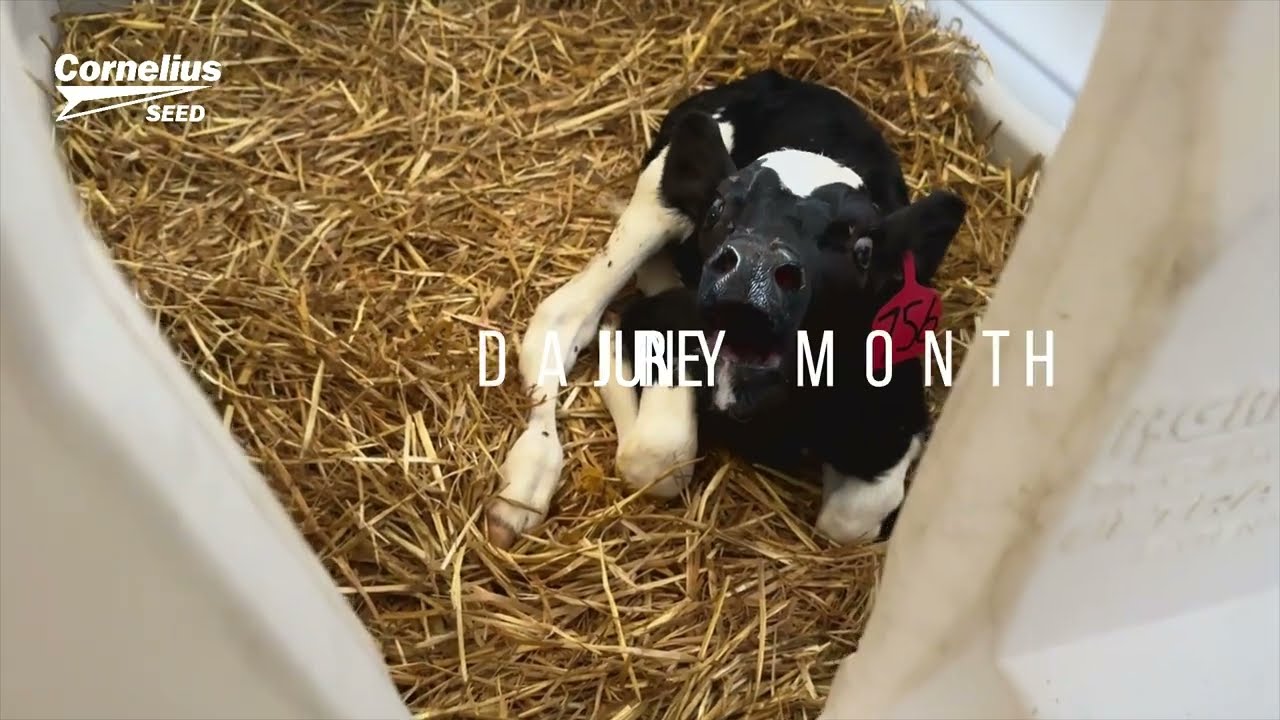 Celebrate June Dairy Month to Support Local Dairy Famers