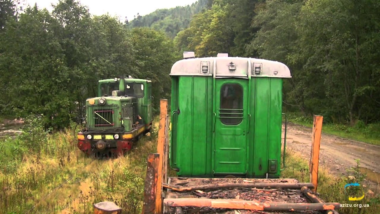 Вигодська вузькоколійка, ТУ4-1695 / Schmalspur waldbahn in Vygoda