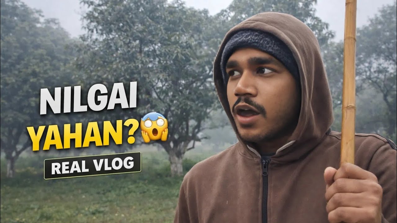 Subah Lathi Le Kar Bagicha Gaya 😨 | Nilgai Se Saamna | Daily Vlog | #thenilayvlogs #vlog #village 