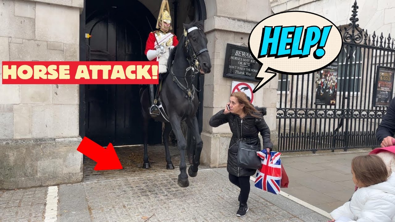 Royal Horse Attacks Tourist Lady – See What Happens NEXT!