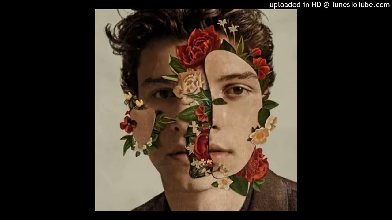 Shawn Mendes - In My Blood (Pitched)