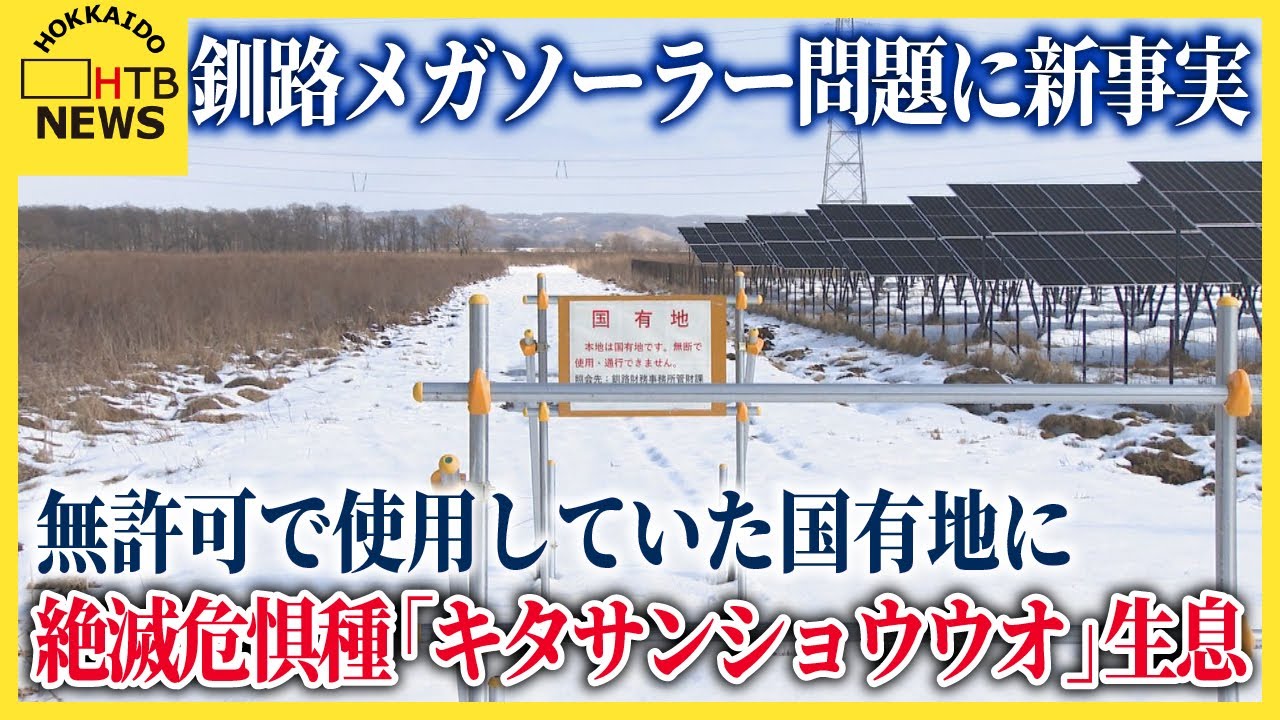 釧路メガソーラー問題に新事実　無許可で使用していた国有地に絶滅危惧種「キタサンショウウオ」が生息