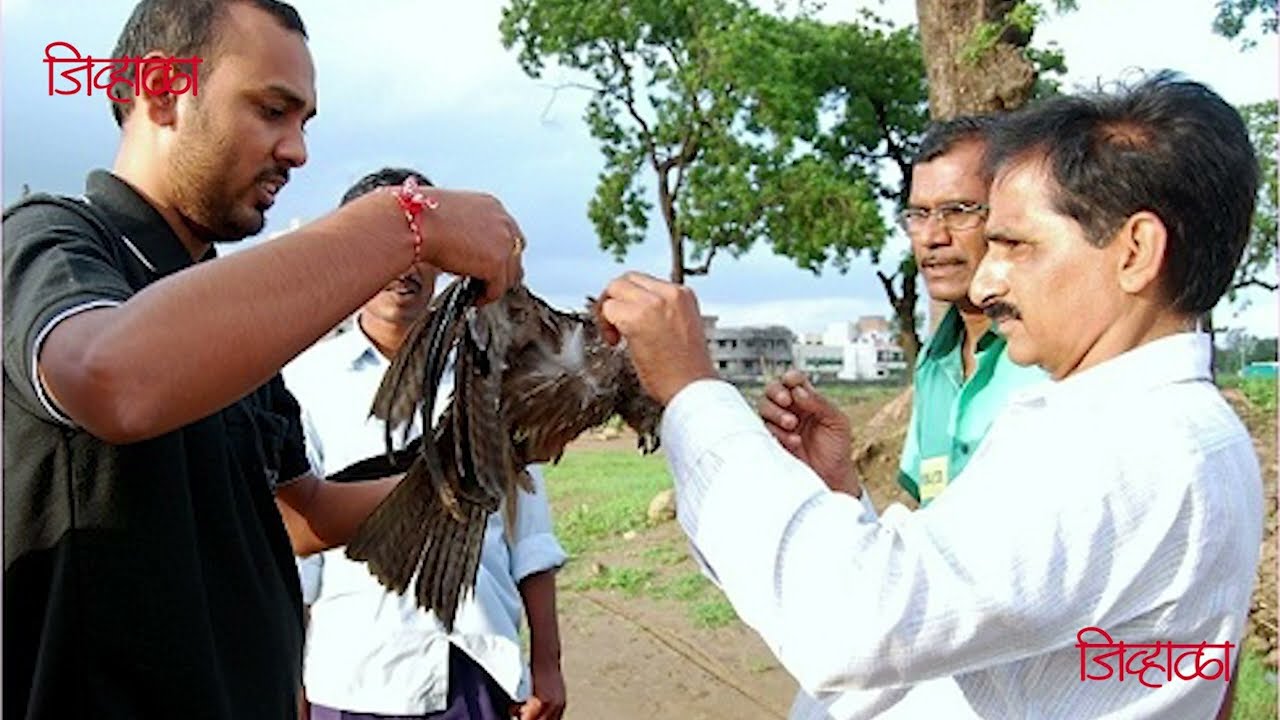 Wild-CER has been awarded by 'Jivhala'  foundation for its contribution in wildlife conservation.
