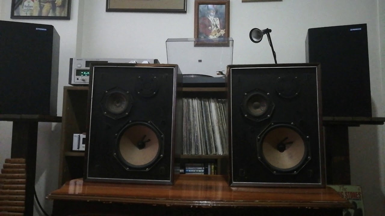 Philips 22RH426 Fullrange speaker