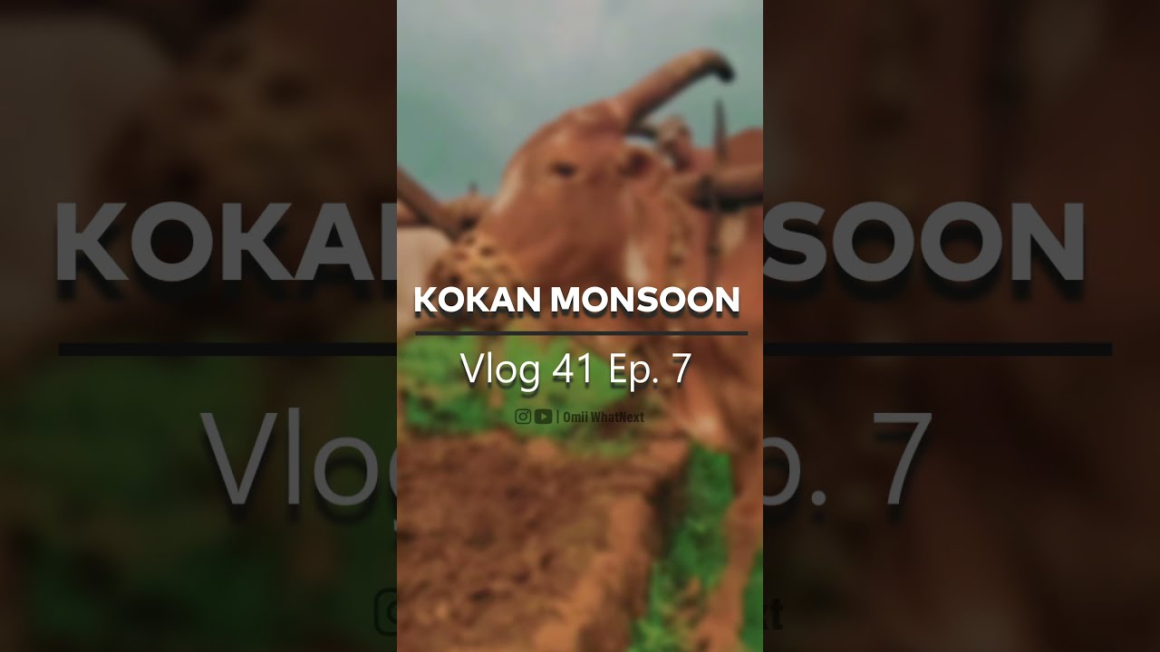 #Shorts KOKAN in MONSOON&hearts;️ | Ratnagiri | Omii WhatNext