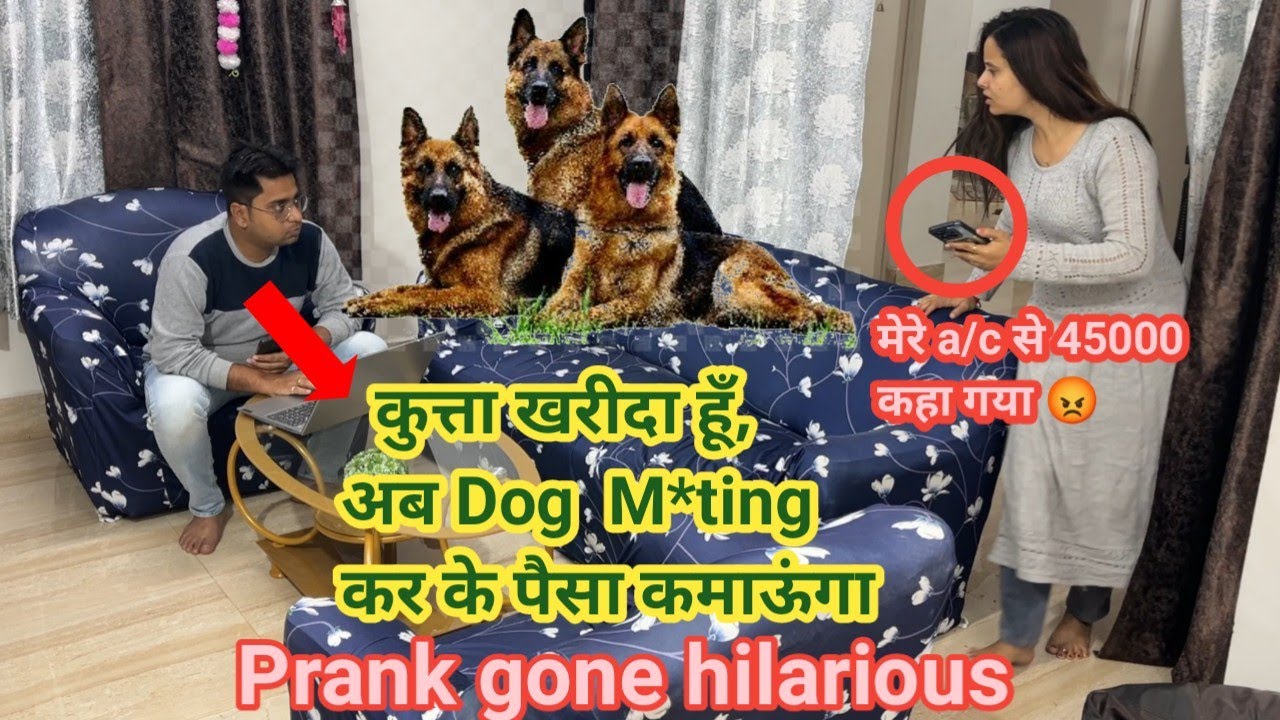 Dog Mat*ng कर के पैसा कमाऊंगा || Prank on wife || #prank #punita_life #funnyvideo