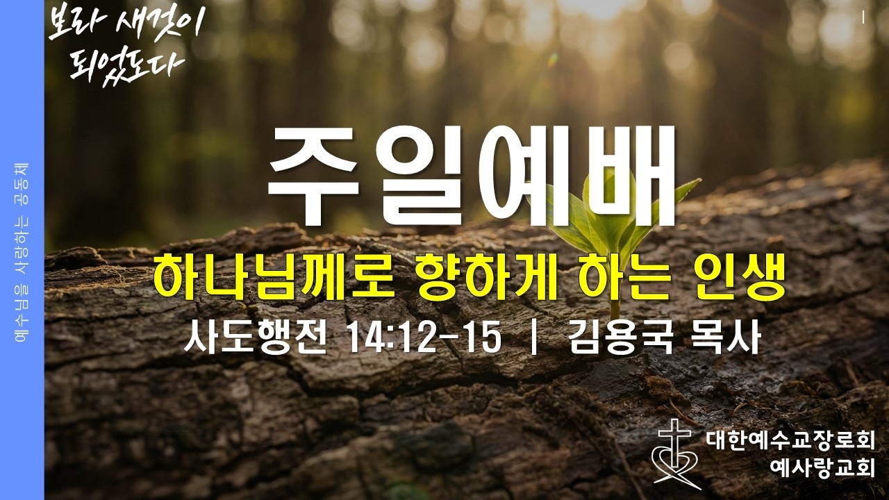 [주일예배] 하나님께로 향하게 하는 인생 (행 14:12-15)