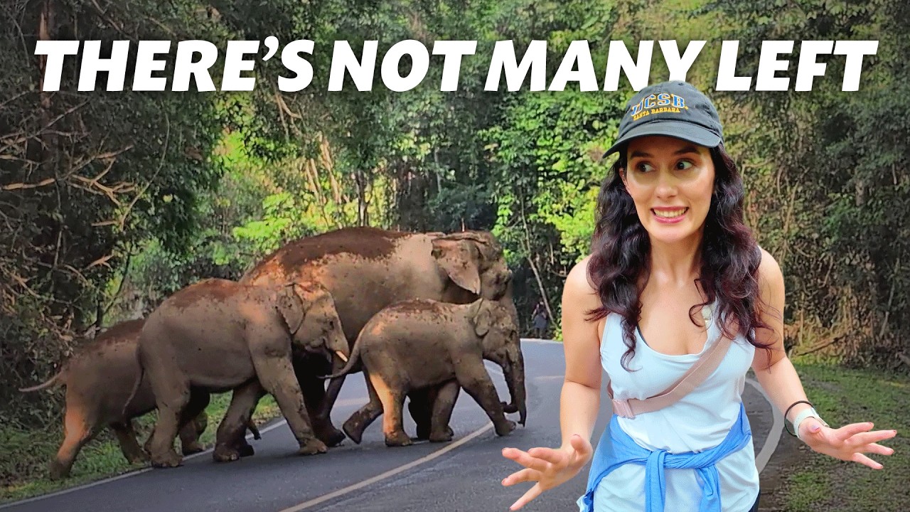 Thailand's Best Kept Secret Is NOT A Beach