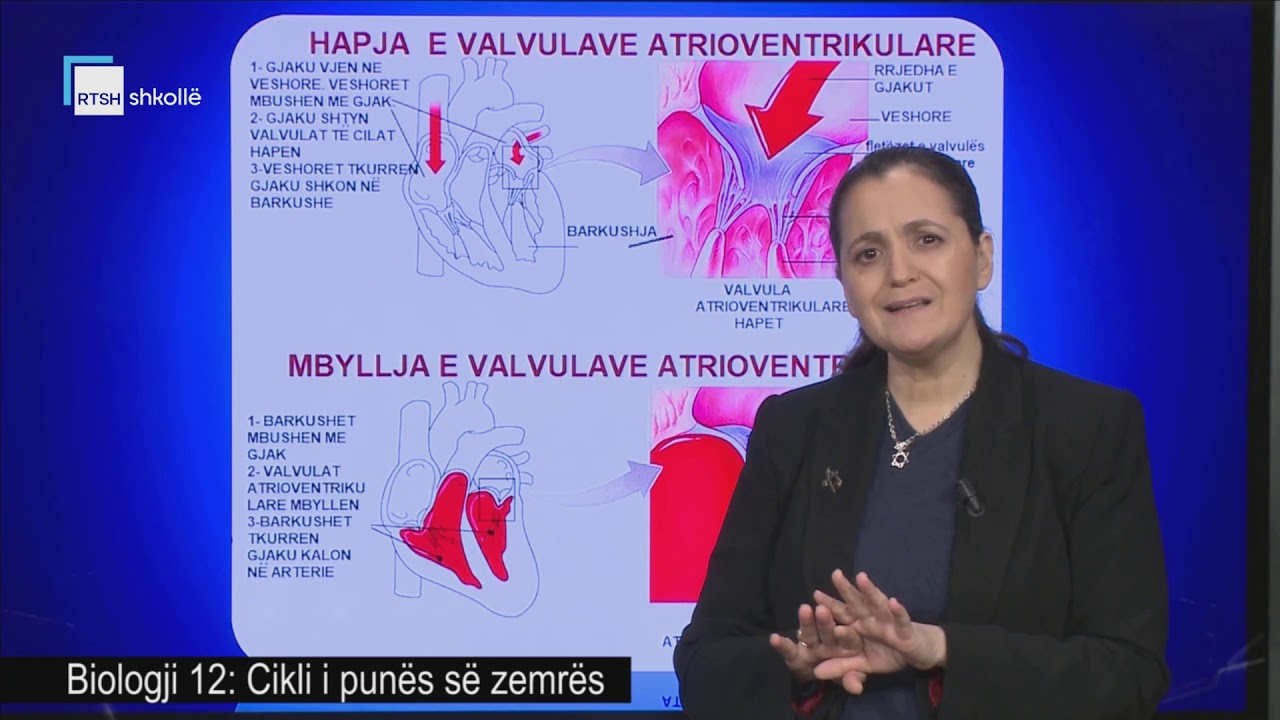 Biologji 12 - Cikli i punës së zemrës