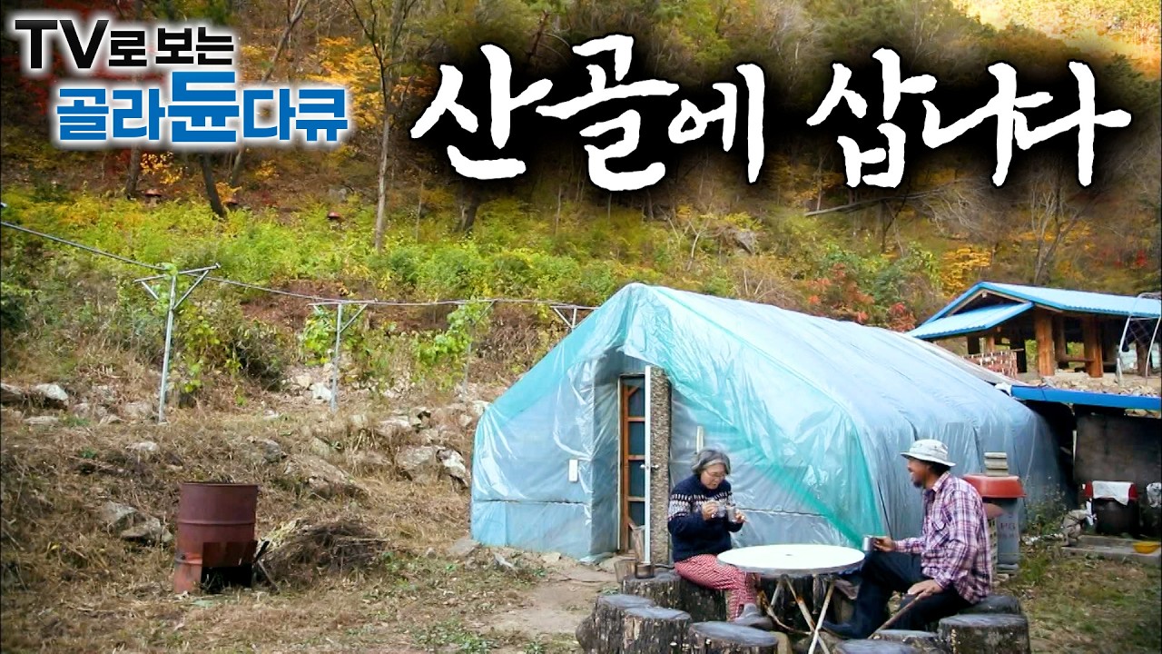 ⛰️나 말고 아무도 없는 세상. 나무와 바람이 친구가 되는 오지 산골에 사는 사람들⛰️｜보기만 해도 향긋한 오지 산골살이 1시간 몰아보기｜한국기행｜#tv로보는골라듄다큐