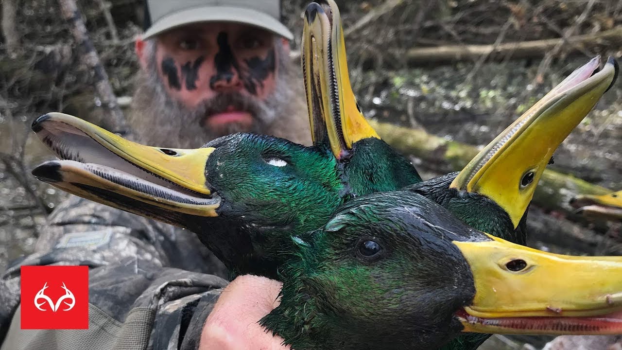 4 Ducks - Public Land Opening Day in Arkansas