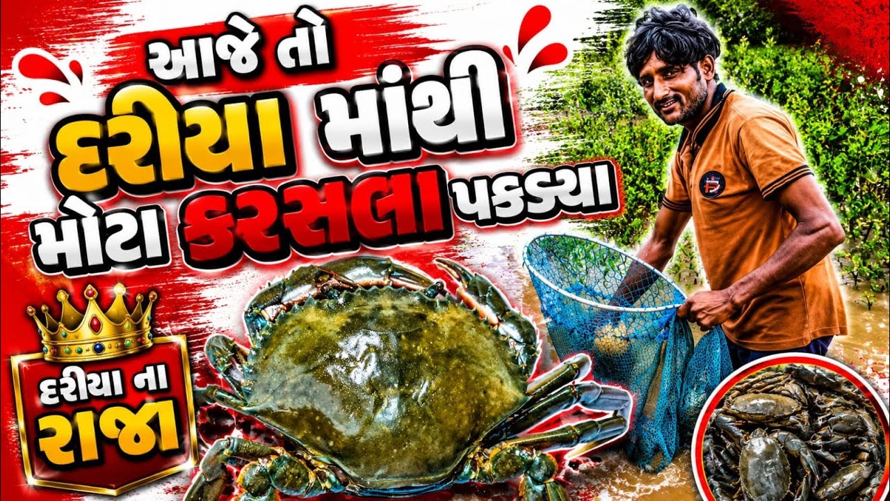 આજે તો દરીયા મા કરસલા પકડયા બહુ મોટા..crab catching#દરીયા ના રાજા#big crab#