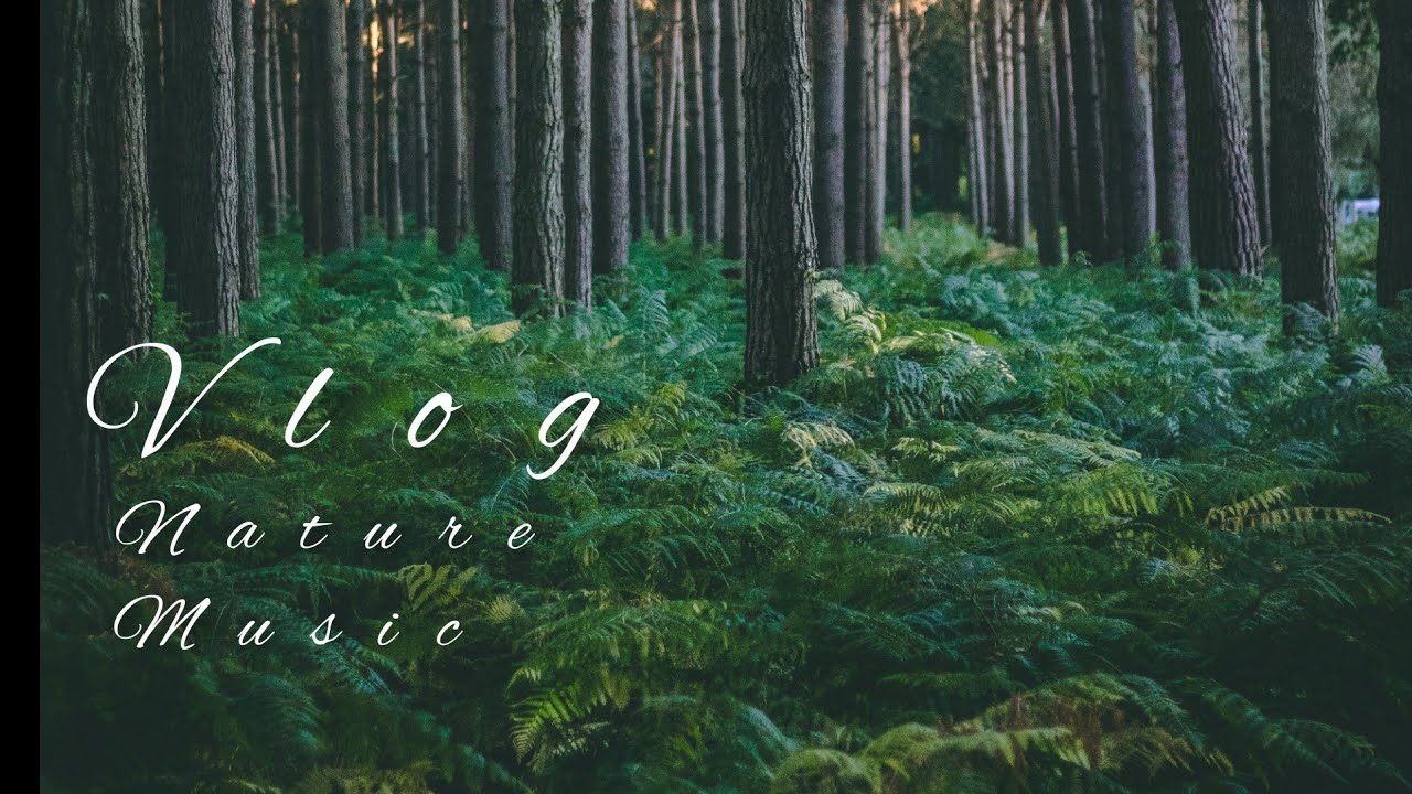 Nature Music vVolg (Vlog No copyright music) 2022