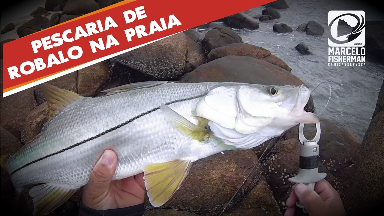 Pescaria de Robalo Rio de Janeiro, Mangaratiba