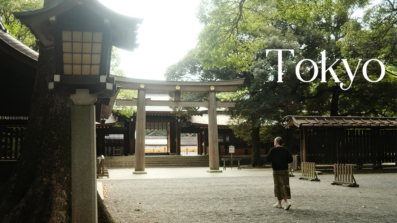 Last few days in Tokyo | Shibuya, Shinjuku & Harajuku | Japan Travel Vlog