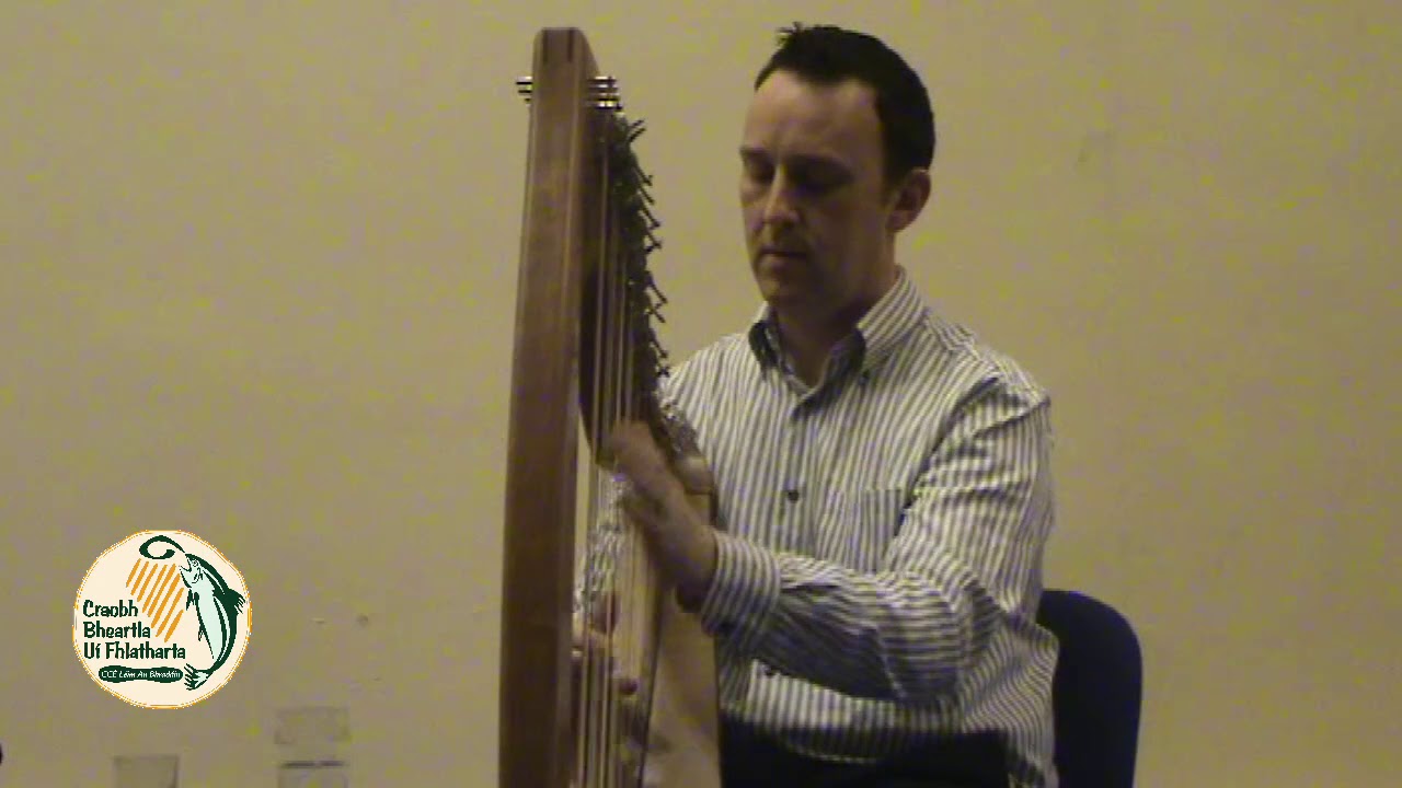 Michael Rooney - The Didda & Fly and Dodger