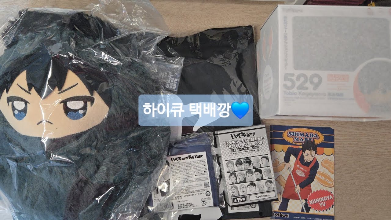 오타쿠VLOG| ONLY 하이큐 굿즈깡💙 (데카치미케모, 팬파크 수주, 넨도)