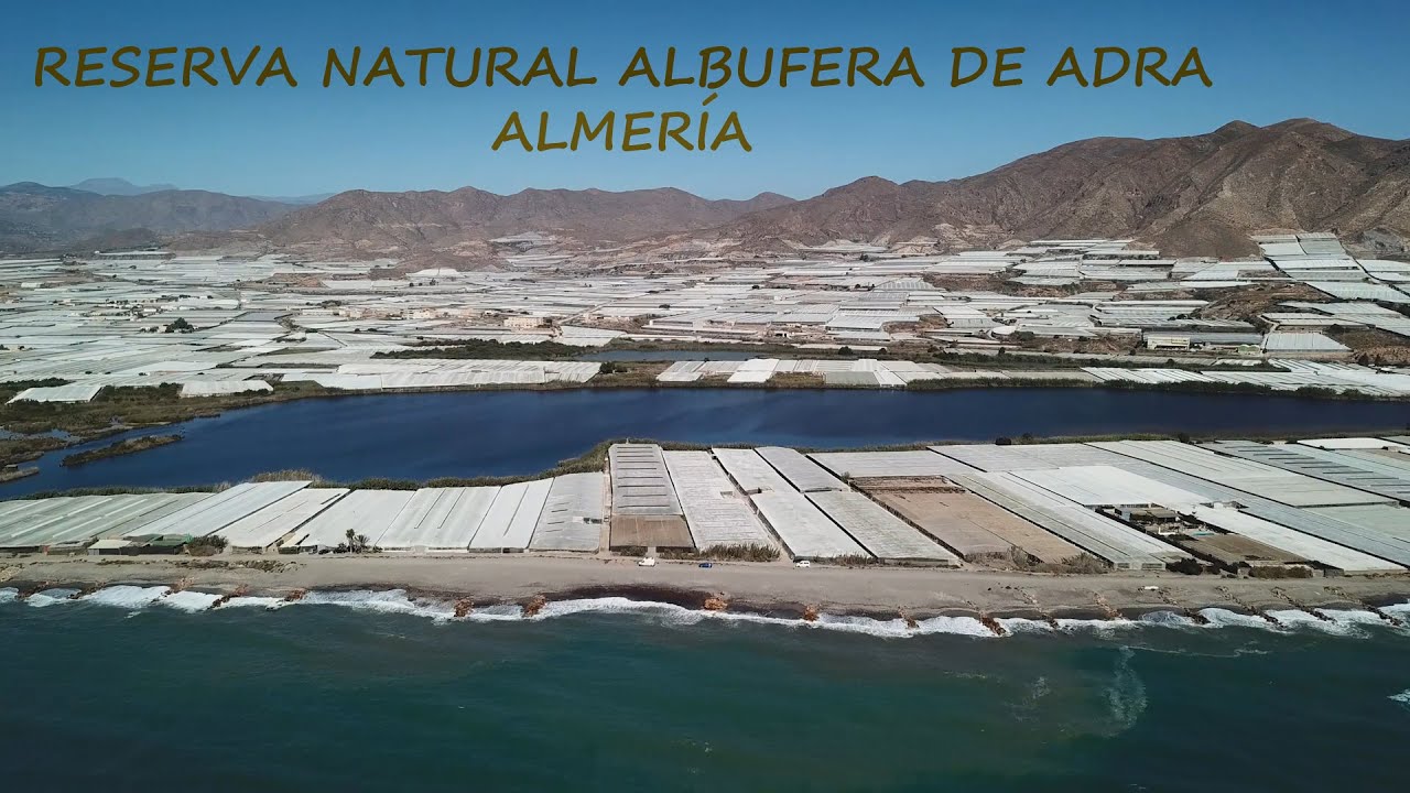 Wild Spain - Capítulo 183 - Reserva Natural Albufera de Adra, Almería.