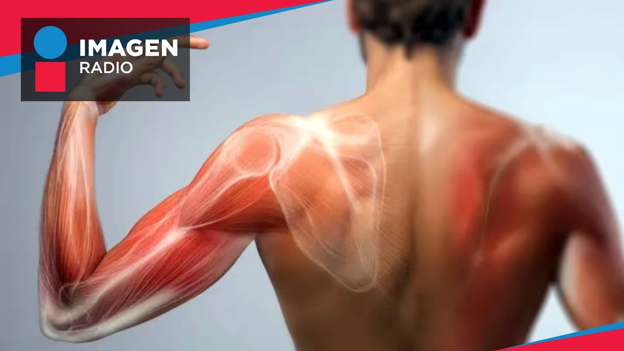Principales causas de la pérdida de masa muscular