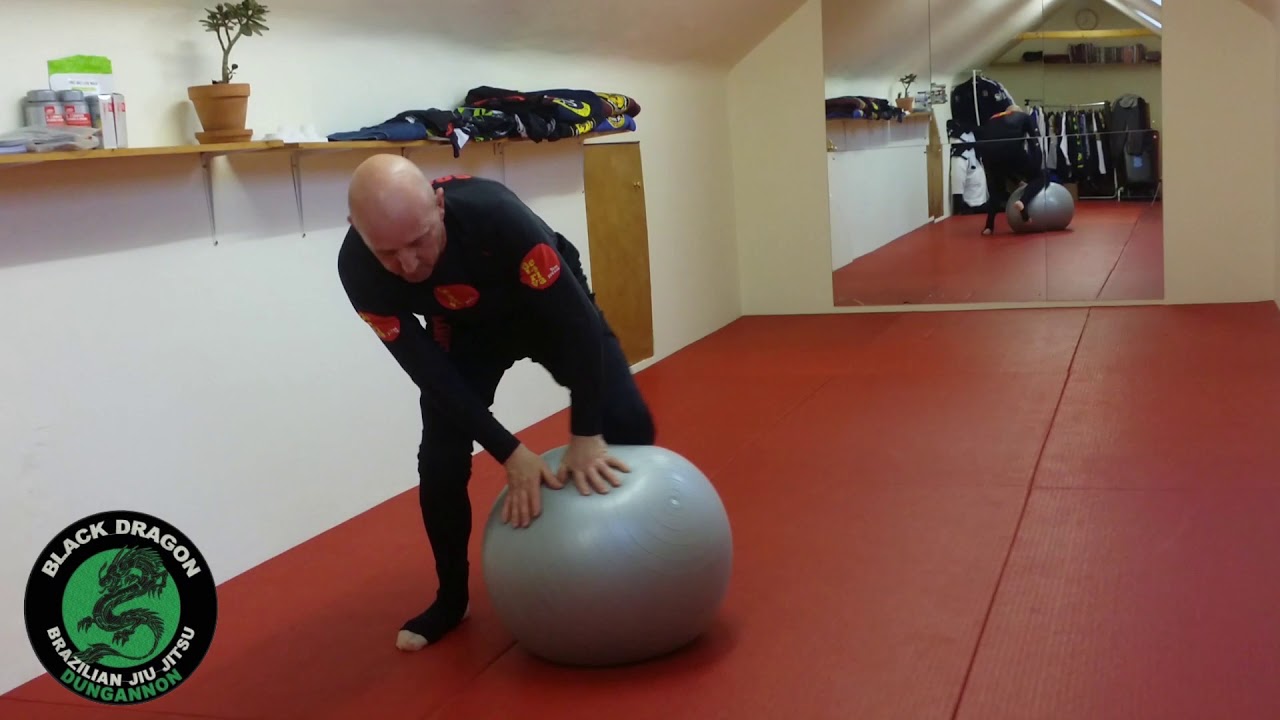 BJJ  Stability ball drills