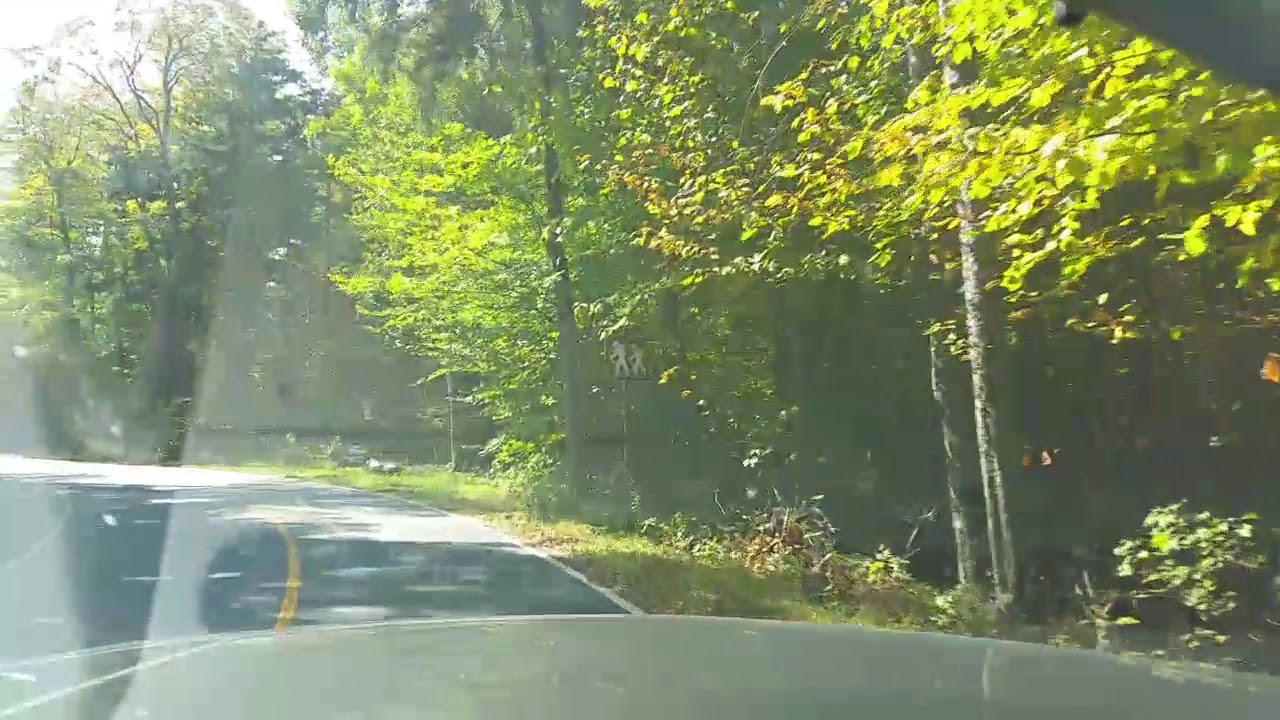 Drive up Mount Greylock