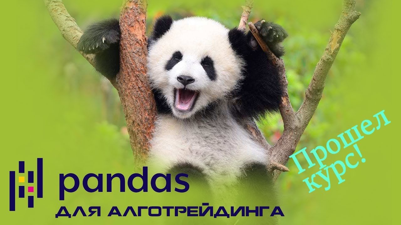 Прошел курс 