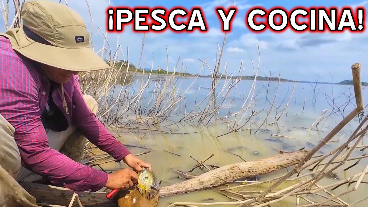 🎣Pesca y Cocina🍳! 🏝️ISLA Repleta de TILAPIAS AMARILLAS y TUCUNARES (Pavon), Pez exotico PAVONETA🐠