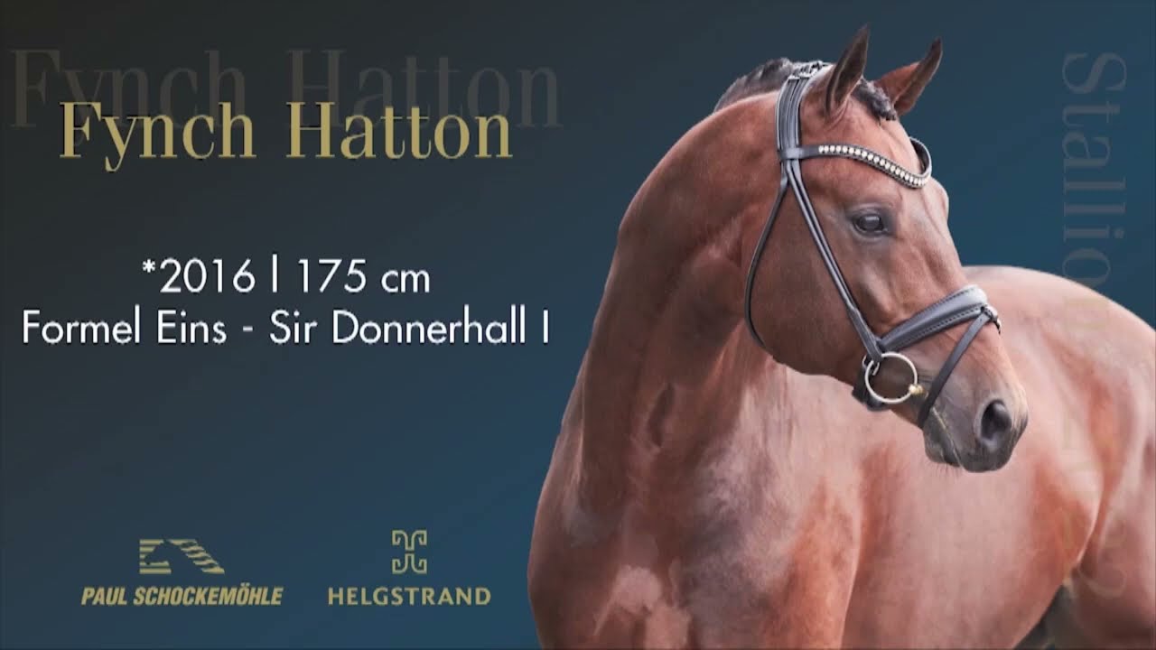 Fynch Hatton - Dressurkollektion 2022 Schockemöhle & Helgstrand (DEU)