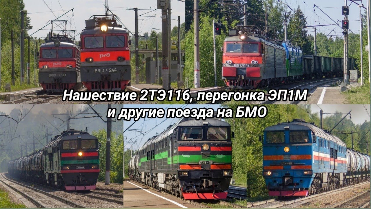 Нашествие 2ТЭ116, перегонка сине-зелëного ЭП1М и другие поезда на БМО.